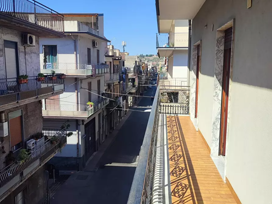 Immagine 17 di Appartamento in vendita  a Paterno'