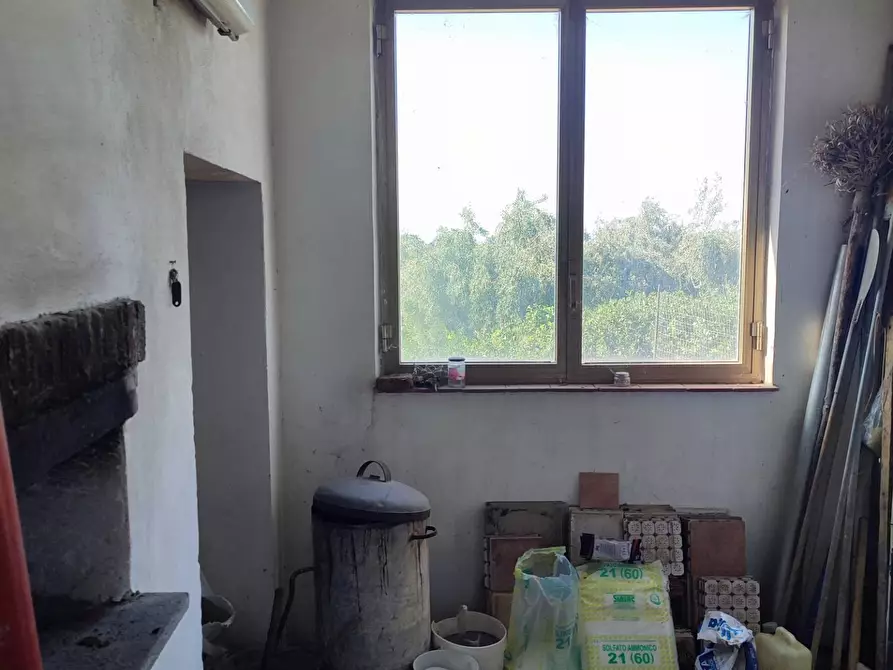 Immagine 7 di Terreno agricolo in vendita  a Paterno'