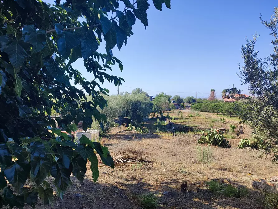 Immagine 10 di Terreno agricolo in vendita  a Paterno'