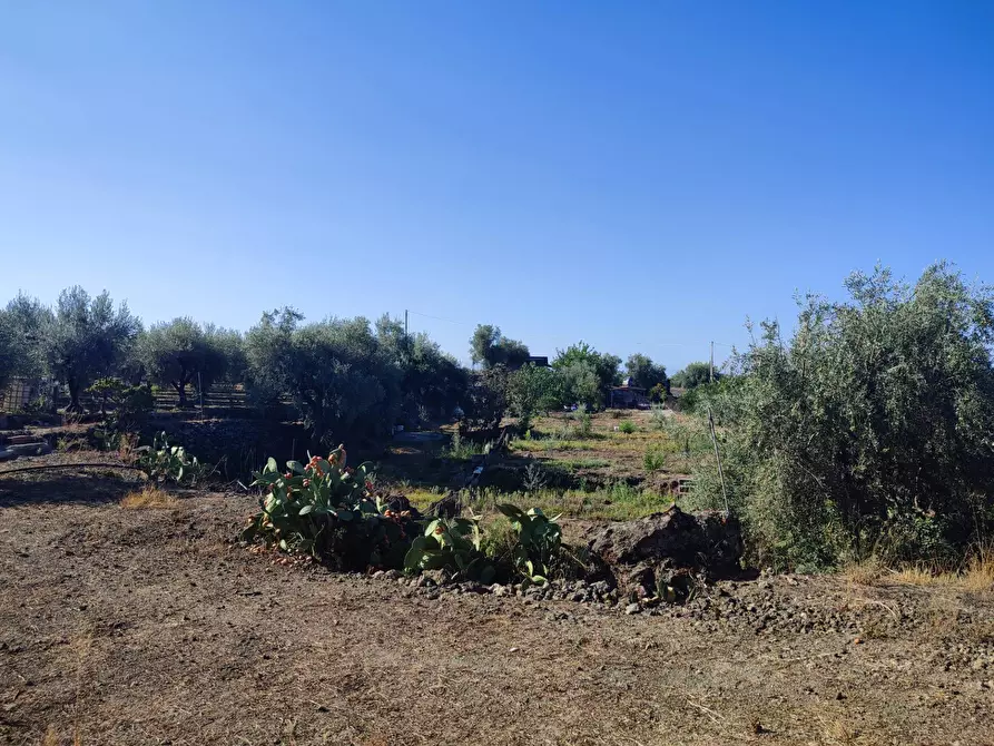 Immagine 11 di Terreno agricolo in vendita  a Paterno'