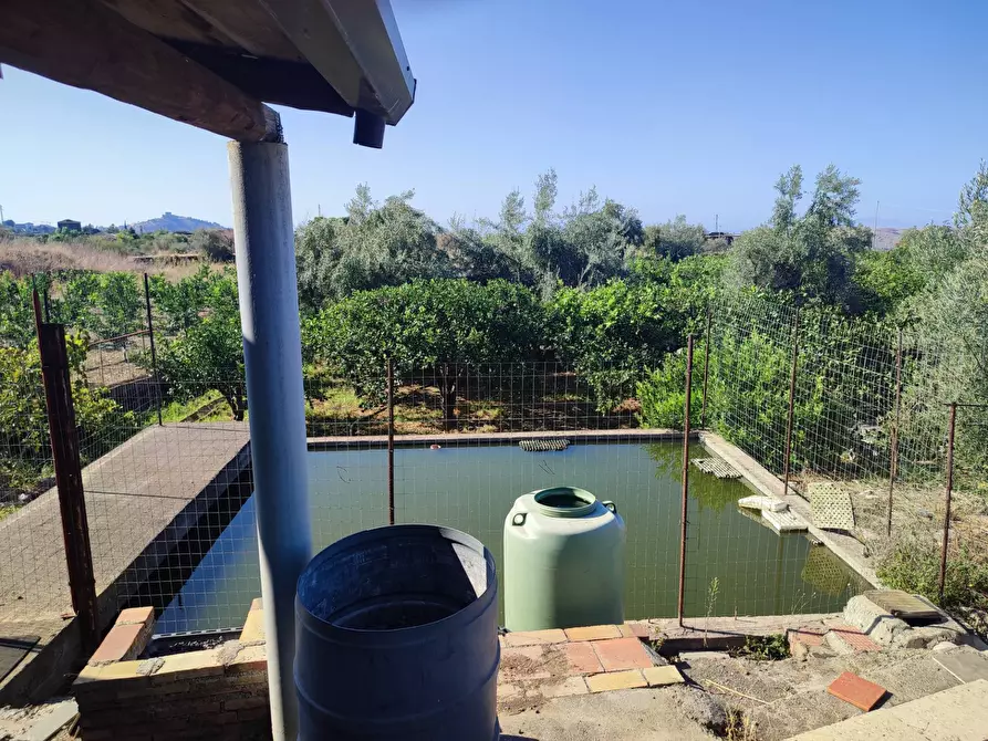 Immagine 5 di Terreno agricolo in vendita  a Paterno'