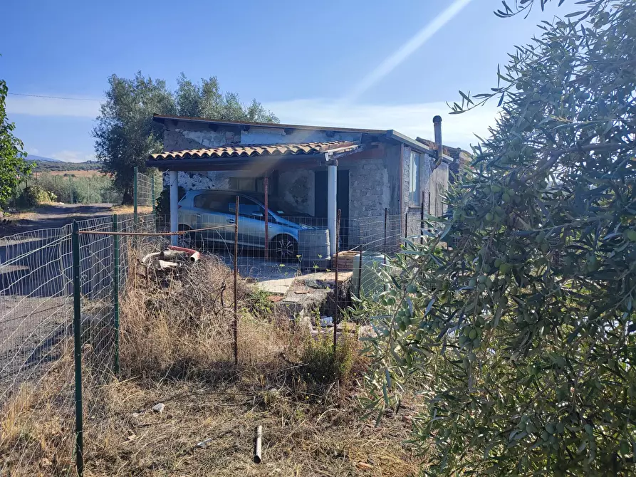 Immagine 2 di Terreno agricolo in vendita  a Paterno'