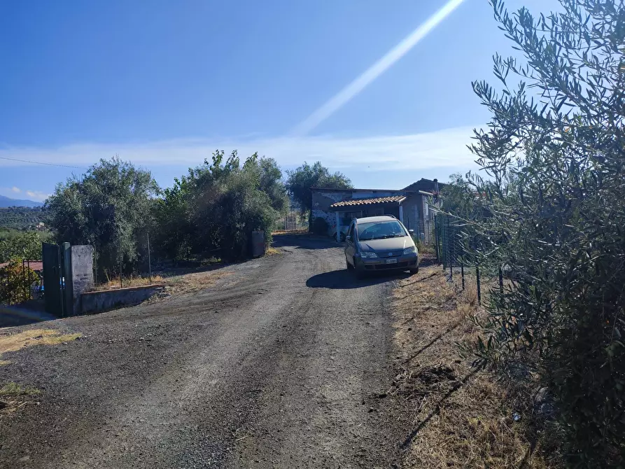 Immagine 3 di Terreno agricolo in vendita  a Paterno'