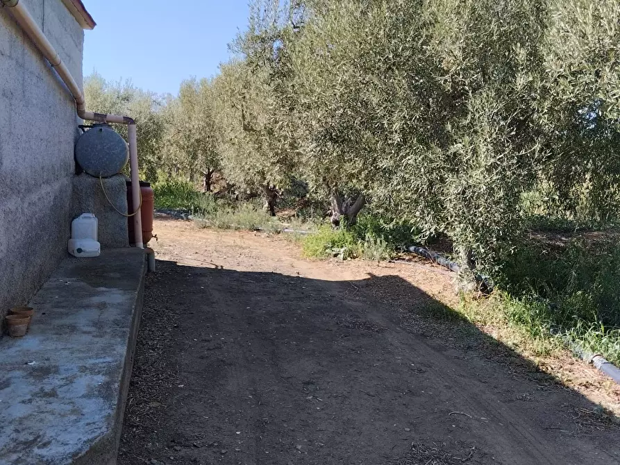 terreno agricolo in vendita a Camporotondo Etneo