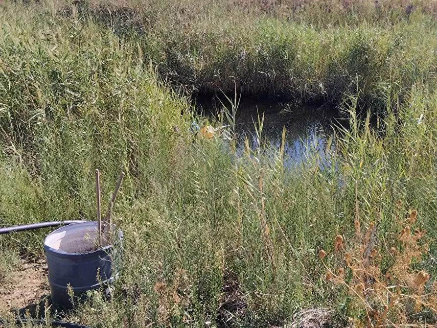 Immagine 7 di Terreno agricolo in vendita  a Camporotondo Etneo