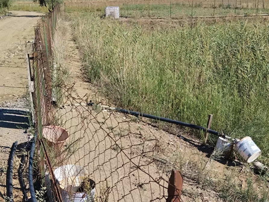 Immagine 8 di Terreno agricolo in vendita  a Camporotondo Etneo
