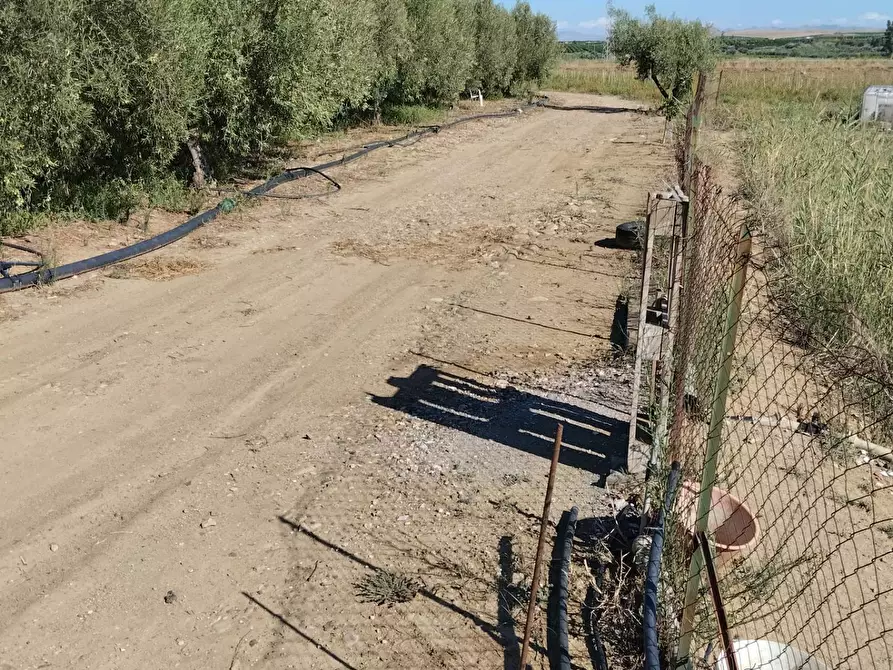 Immagine 4 di Terreno agricolo in vendita  a Camporotondo Etneo