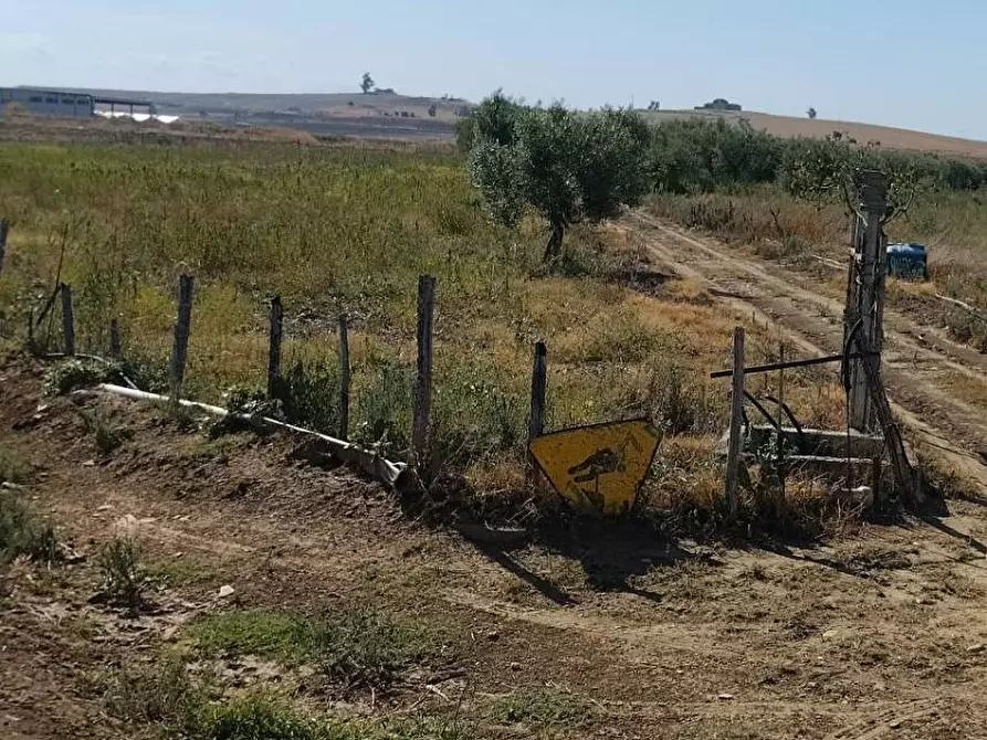 Immagine 10 di Terreno agricolo in vendita  a Camporotondo Etneo