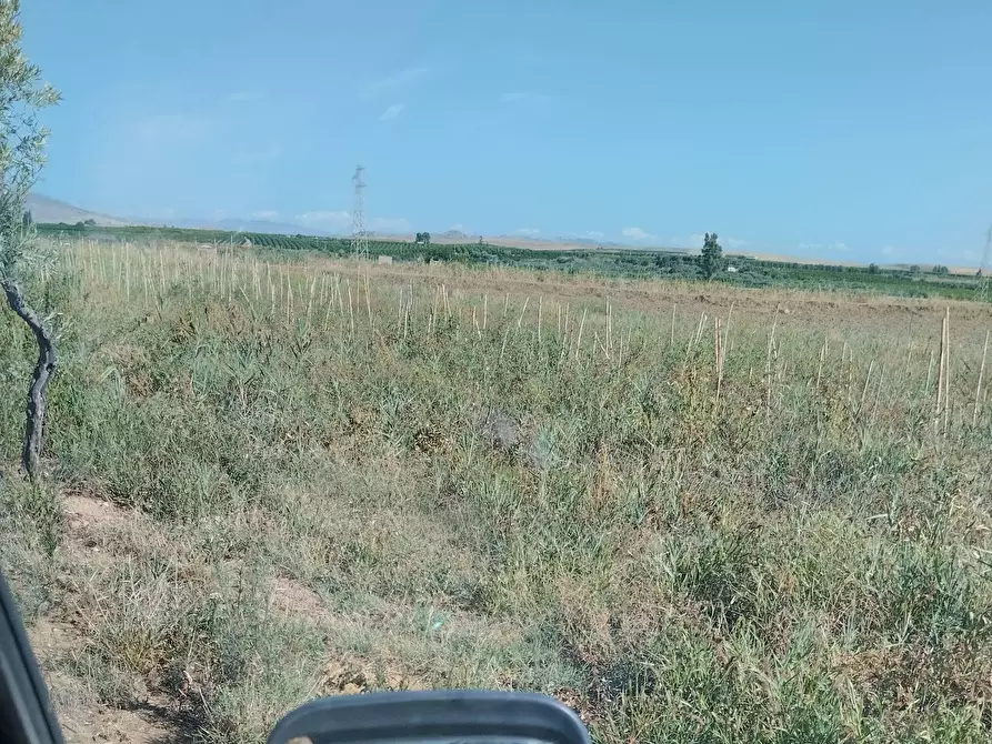 Immagine 6 di Terreno agricolo in vendita  a Camporotondo Etneo