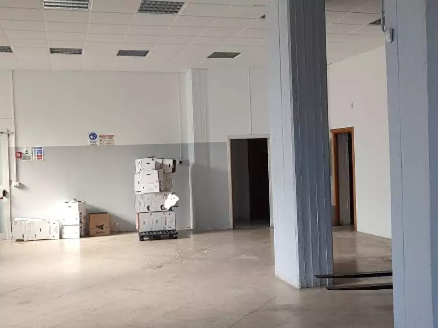 Immagine 6 di Locale commerciale in vendita  a Santa Maria Di Licodia