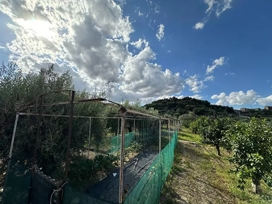 Immagine 25 di Casa indipendente in vendita  a Aidone