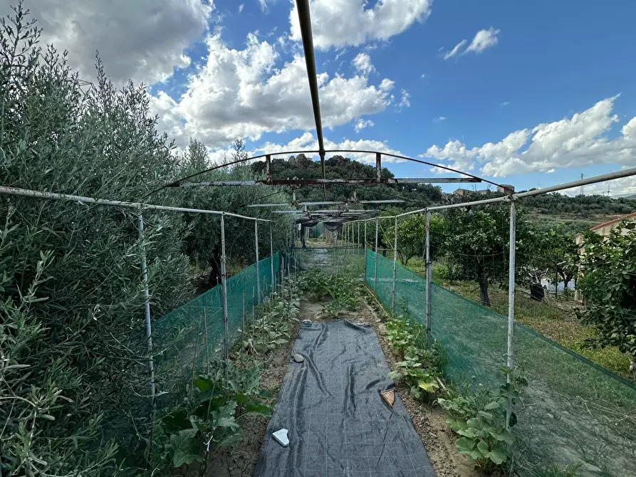 Immagine 26 di Casa indipendente in vendita  a Aidone