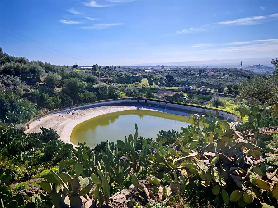 Immagine 7 di Terreno agricolo in vendita  a Santa Maria Di Licodia
