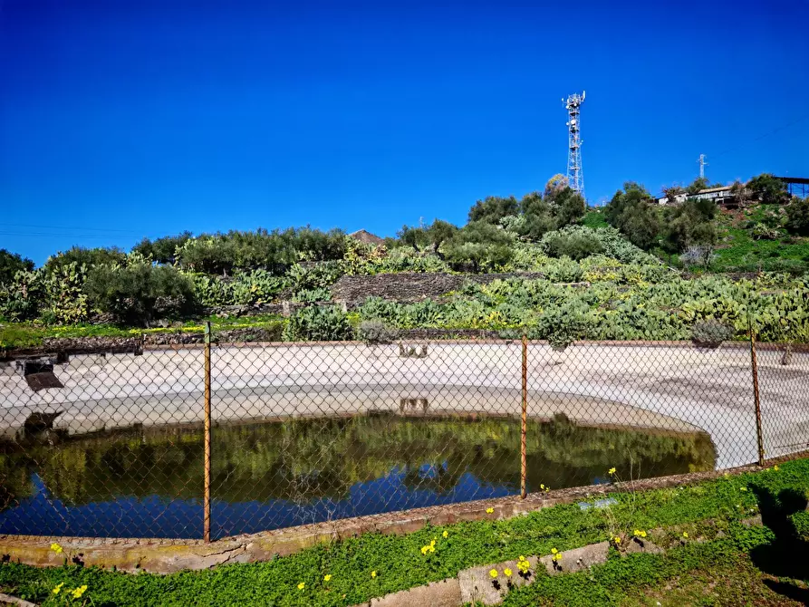 Immagine 8 di Terreno agricolo in vendita  a Santa Maria Di Licodia