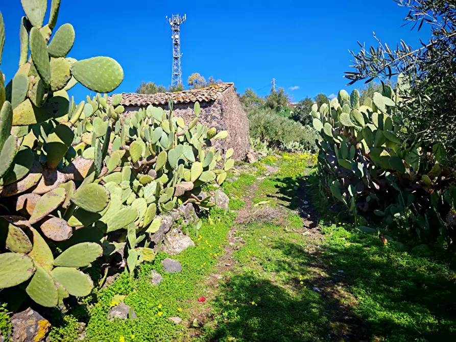 Immagine 12 di Terreno agricolo in vendita  a Santa Maria Di Licodia