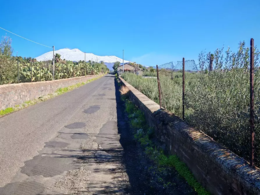 Immagine 10 di Terreno agricolo in vendita  a Santa Maria Di Licodia