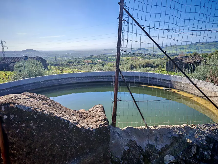 Immagine 11 di Terreno agricolo in vendita  a Santa Maria Di Licodia