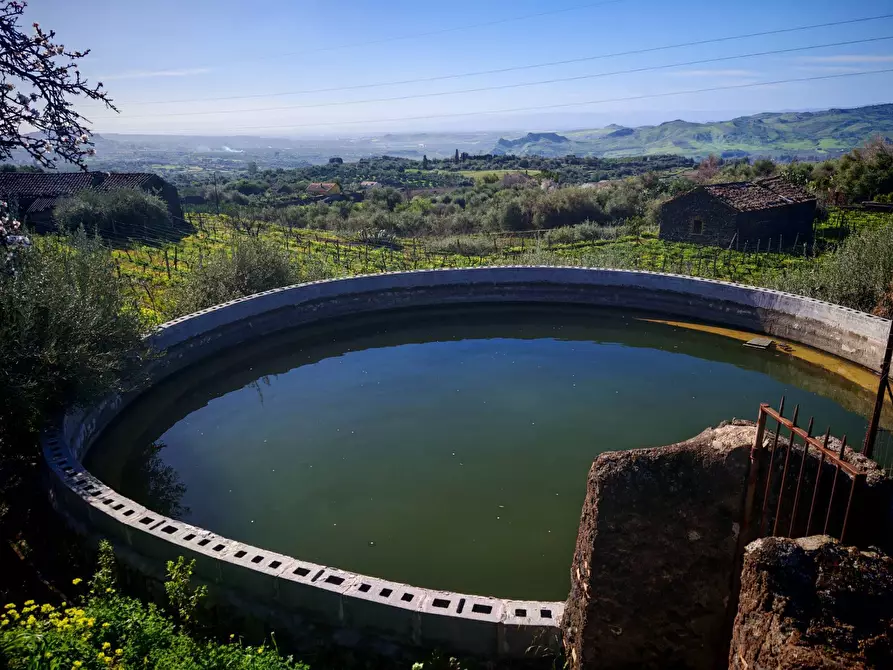 Immagine 12 di Terreno agricolo in vendita  a Santa Maria Di Licodia