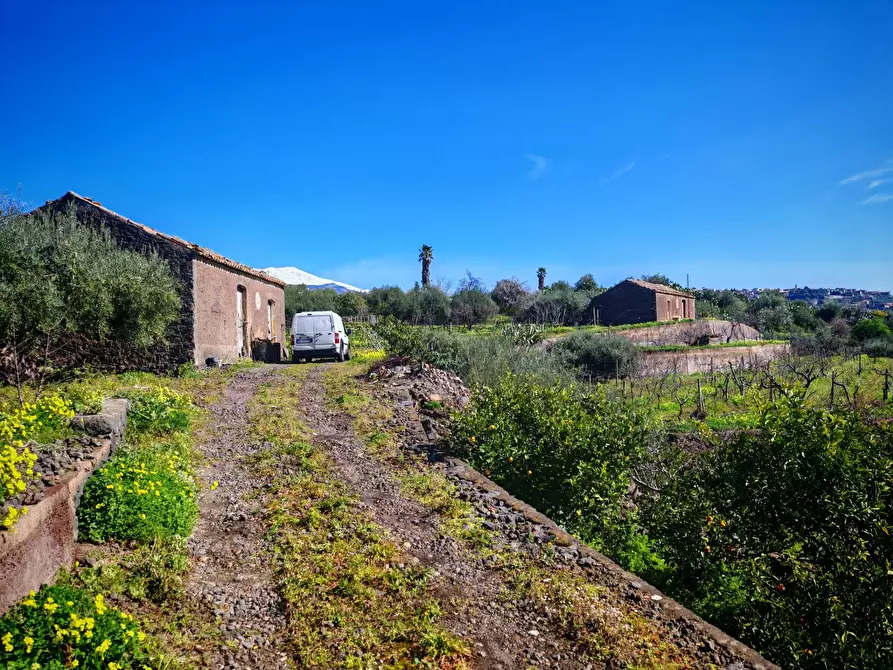 Immagine 1 di Terreno agricolo in vendita  a Santa Maria Di Licodia