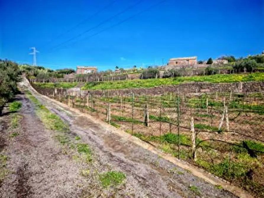 Immagine 9 di Terreno agricolo in vendita  a Santa Maria Di Licodia