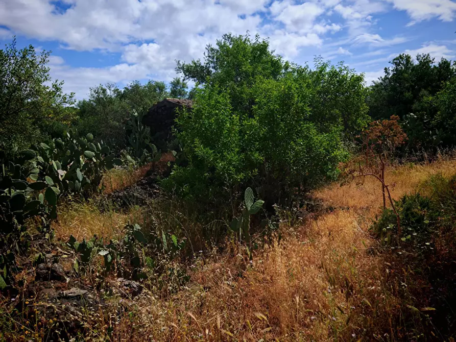 Immagine 10 di Rustico / casale in vendita  a Paterno'