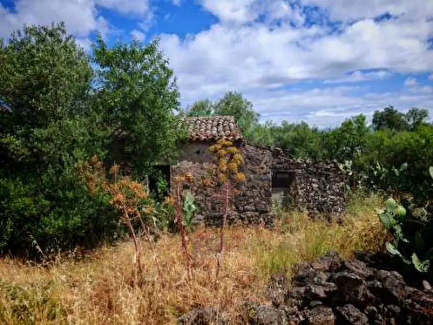 Immagine 9 di Rustico / casale in vendita  a Paterno'
