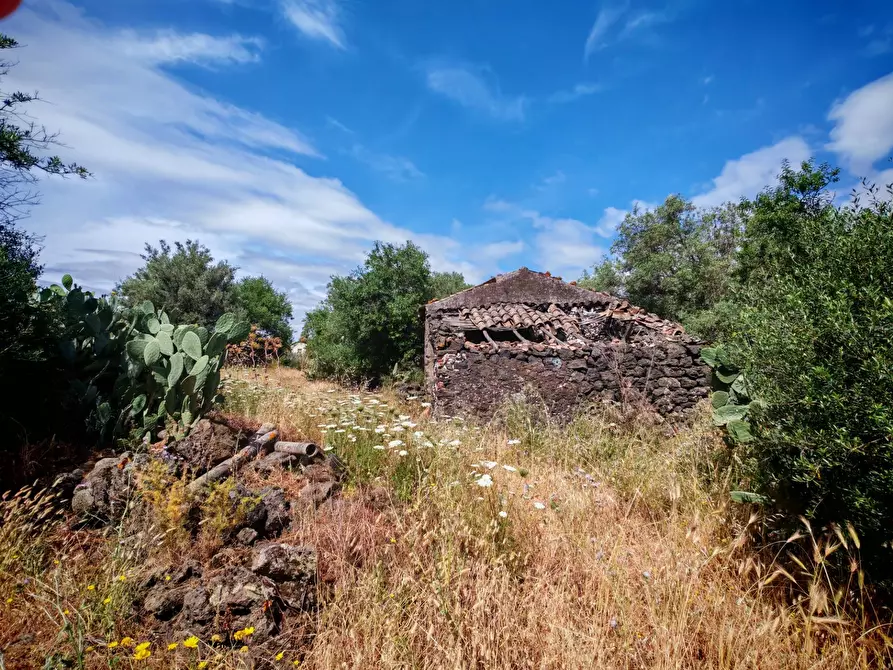 Immagine 8 di Rustico / casale in vendita  a Paterno'