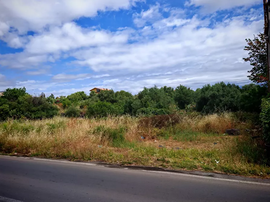 Immagine 3 di Rustico / casale in vendita  a Paterno'