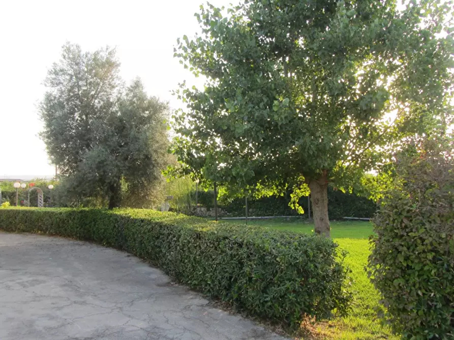 Immagine 3 di Villa in vendita  in strada benali a Siracusa