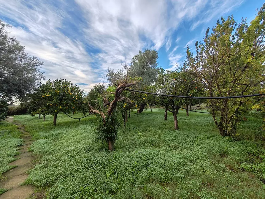 Immagine 11 di Villa in vendita  in strada benali a Siracusa