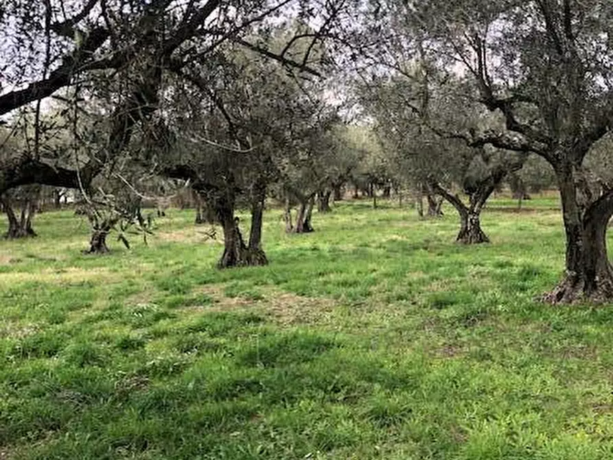 Immagine 20 di Villa in vendita  in località Alvagnano 10 a Vetralla