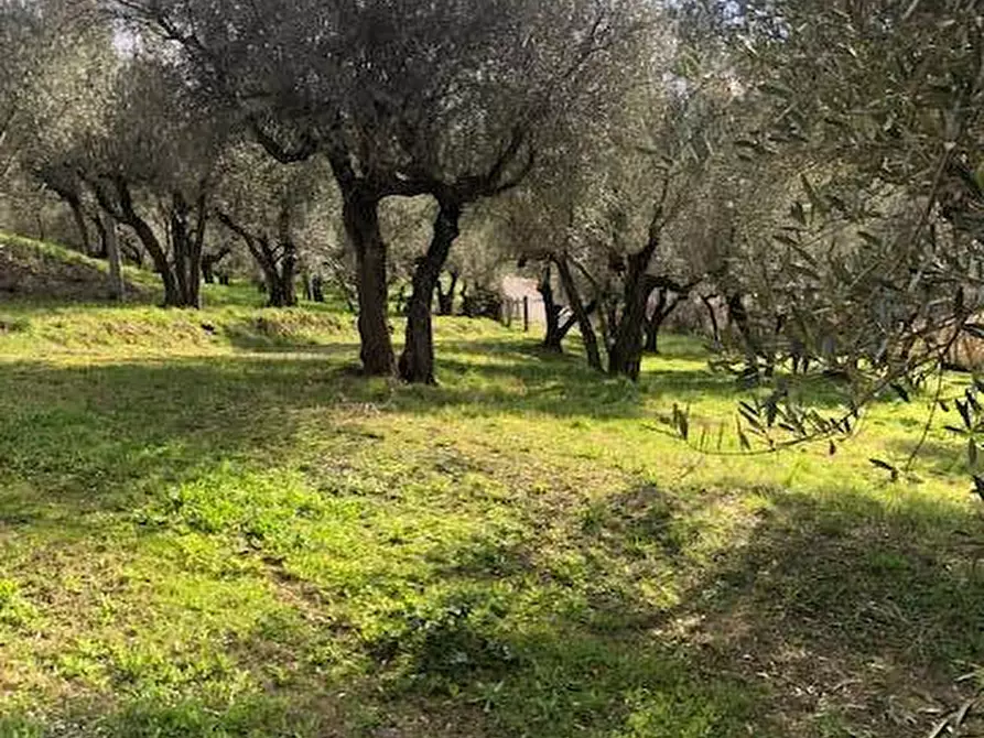 Immagine 34 di Villa in vendita  in località Alvagnano 10 a Vetralla