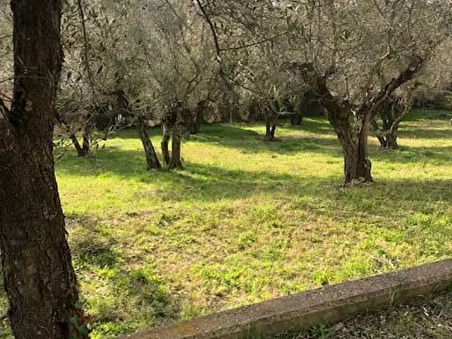 Immagine 35 di Villa in vendita  in località Alvagnano 10 a Vetralla