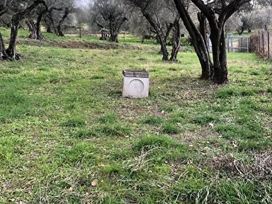 Immagine 36 di Villa in vendita  in località Alvagnano 10 a Vetralla