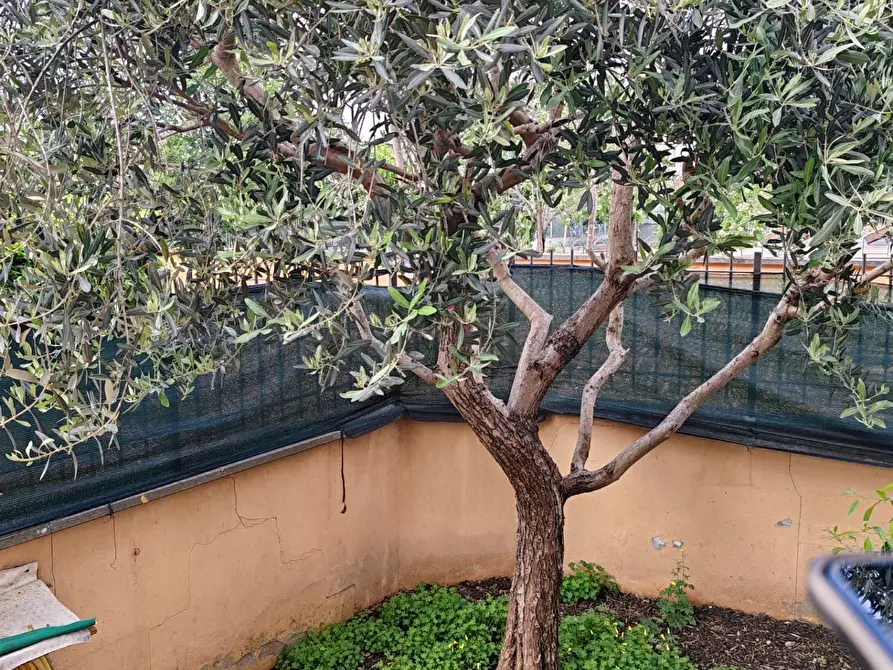 Immagine 46 di Villa in vendita  in Via Giuseppe Vanni a Roma