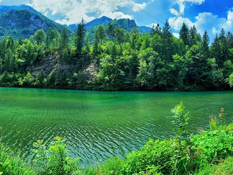 Immagine 24 di Albergo/B&B/Residence in vendita  in VIA MIRALAGO 5 a Algua