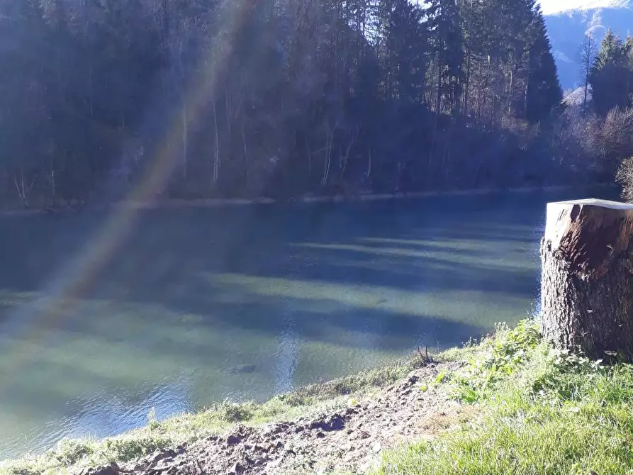 Immagine 23 di Albergo/B&B/Residence in vendita  in VIA MIRALAGO 5 a Algua