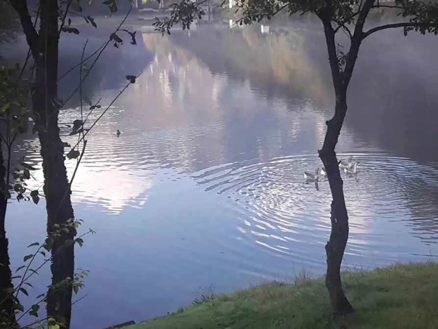 Immagine 29 di Albergo/B&B/Residence in vendita  in VIA MIRALAGO 5 a Algua