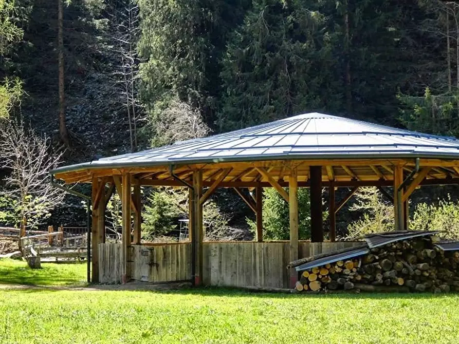 Immagine 2 di Azienda agricola in vendita  in Località Piana 3 a Curno