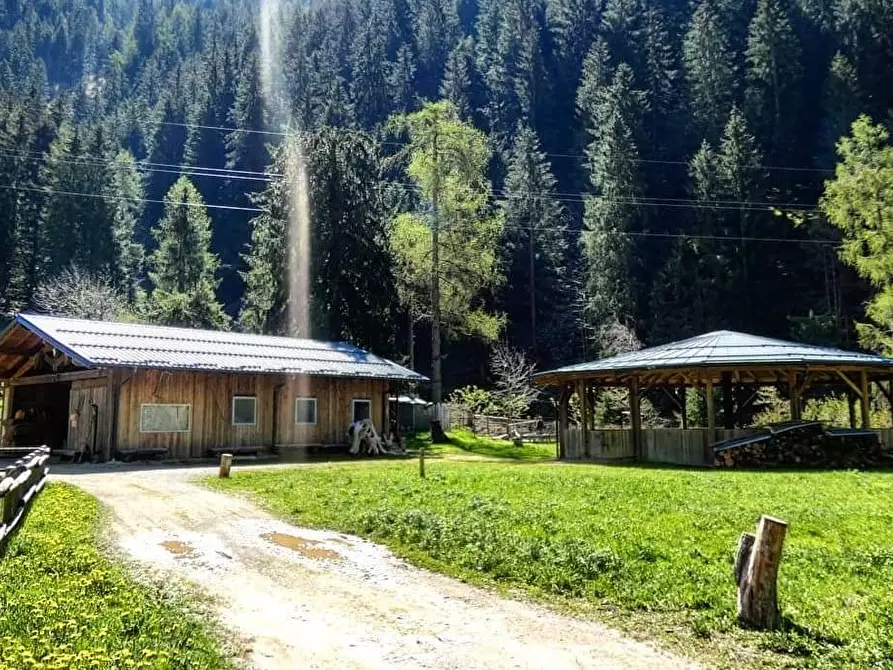 Immagine 3 di Azienda agricola in vendita  in Località Piana 3 a Curno