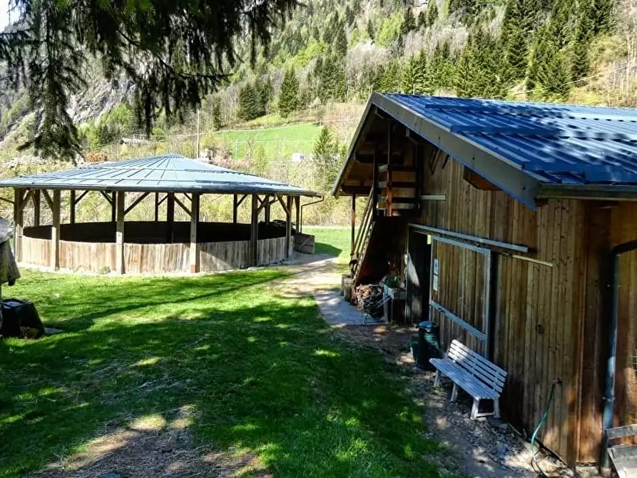 Immagine 5 di Azienda agricola in vendita  in Località Piana 3 a Curno