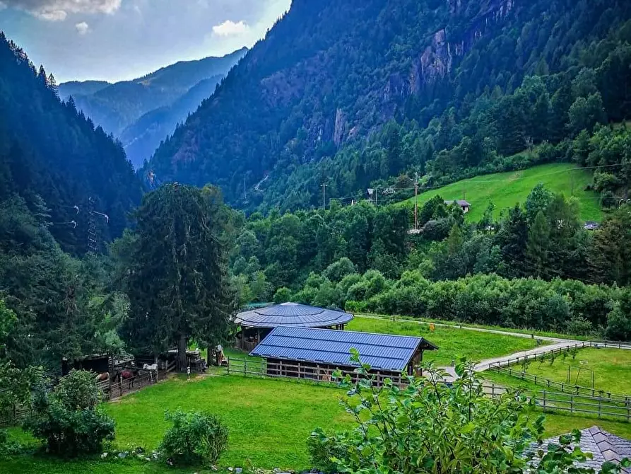 Immagine 7 di Azienda agricola in vendita  in Località Piana 3 a Curno