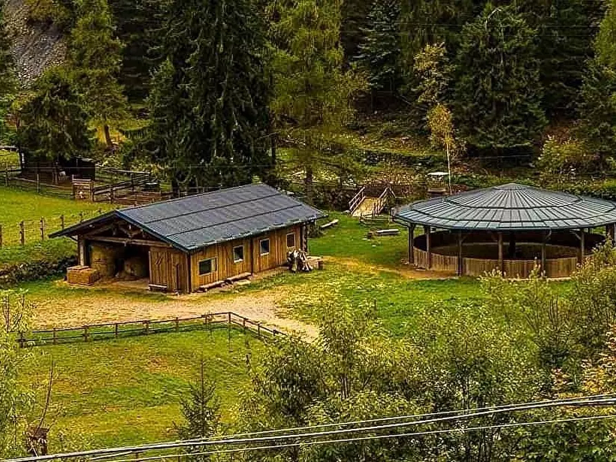 Immagine 9 di Azienda agricola in vendita  in Località Piana 3 a Curno