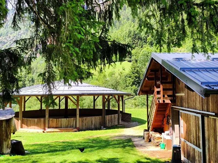 Immagine 4 di Azienda agricola in vendita  in Località Piana 3 a Curno
