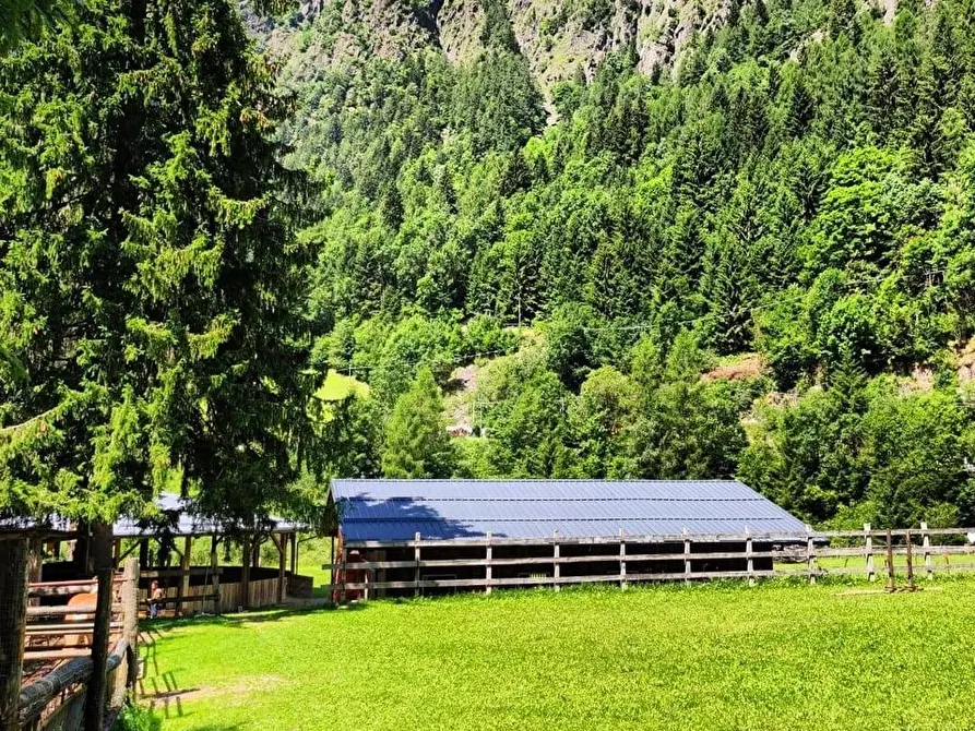 Immagine 10 di Azienda agricola in vendita  in Località Piana 3 a Curno