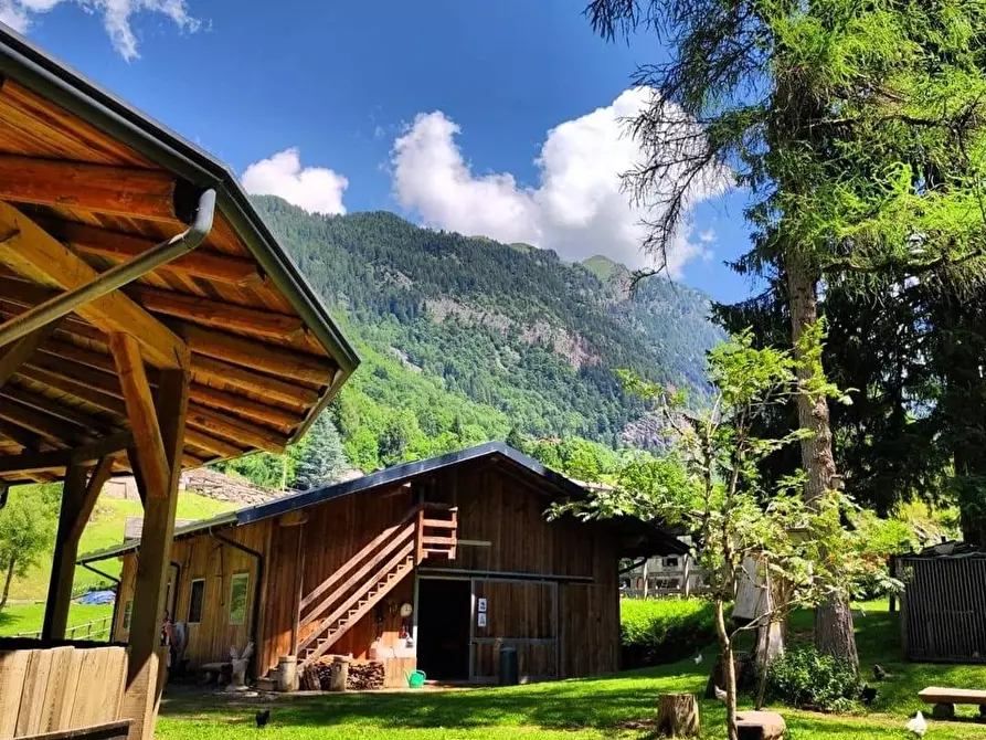 Immagine 11 di Azienda agricola in vendita  in Località Piana 3 a Curno