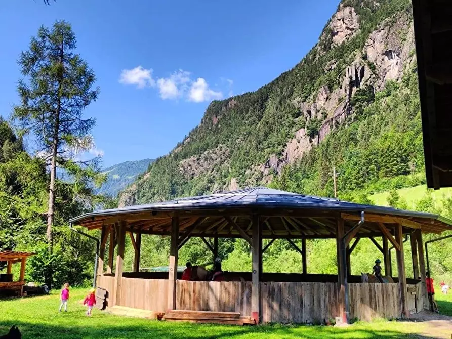 Immagine 12 di Azienda agricola in vendita  in Località Piana 3 a Curno