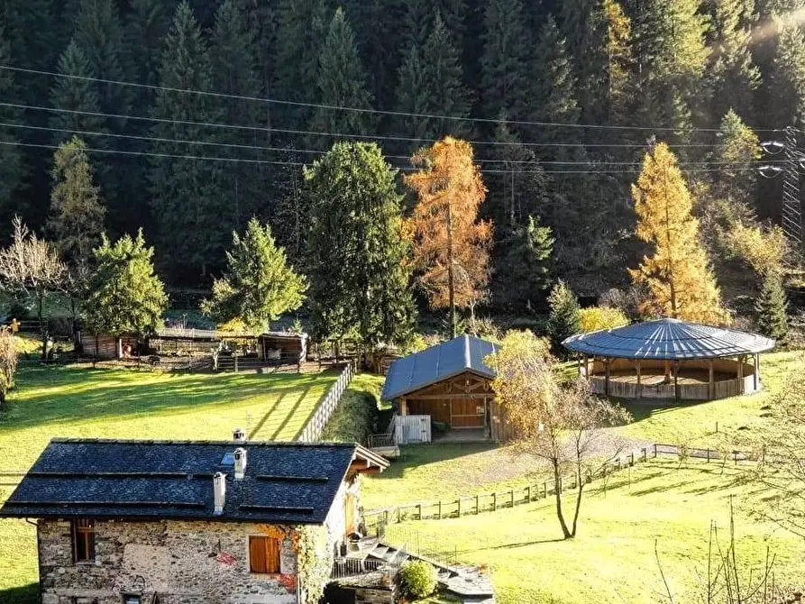 Immagine 13 di Azienda agricola in vendita  in Località Piana 3 a Curno