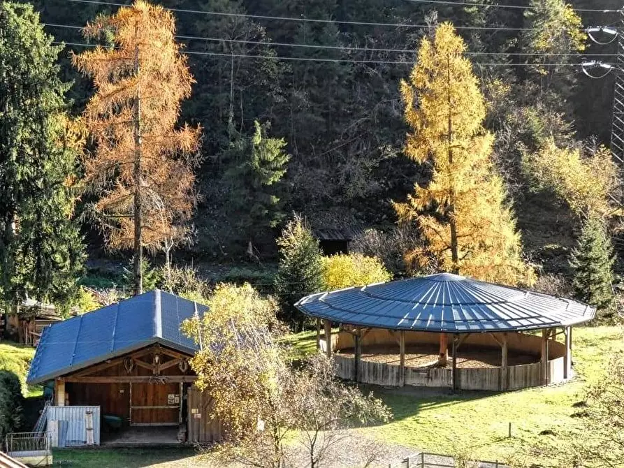 Immagine 14 di Azienda agricola in vendita  in Località Piana 3 a Curno