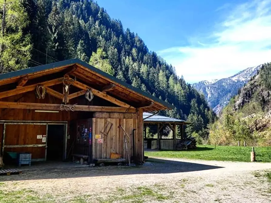 Immagine 15 di Azienda agricola in vendita  in Località Piana 3 a Curno